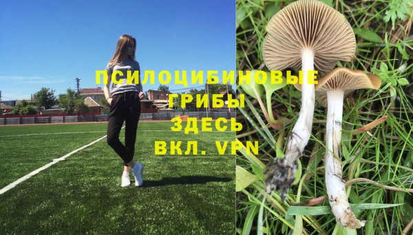 мескалин Краснотурьинск