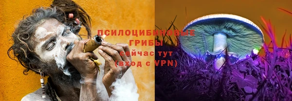 прущая мука Краснослободск