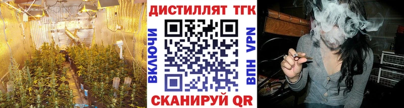 Дистиллят ТГК Wax  Черкесск 
