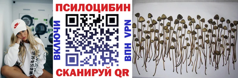 Псилоцибиновые грибы Magic Shrooms kraken tor Черкесск магазин